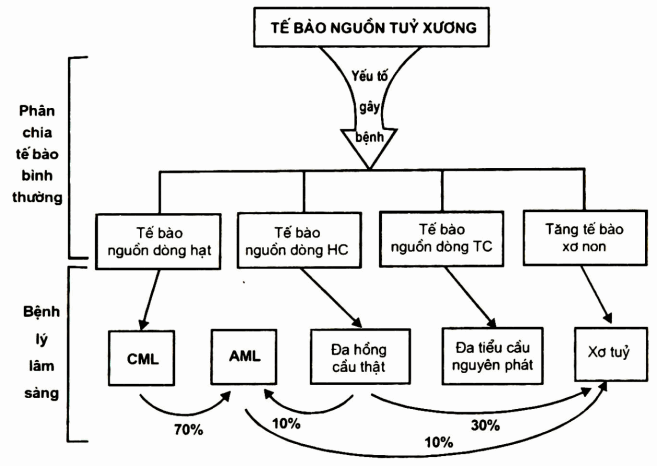 Tăng sinh dòng tủy tế bào