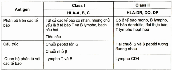 Một số đặc điểm và phân bố gen HLA trong cơ thể