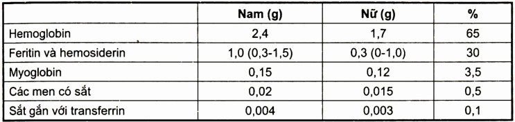 Phân bố sắt trong cơ thể người