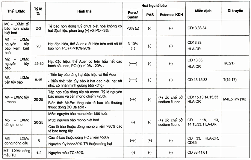 Phân loại lơ xê mi cấp dòng tủy