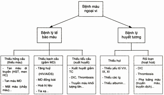 Phân loại bệnh máu ngoại vi