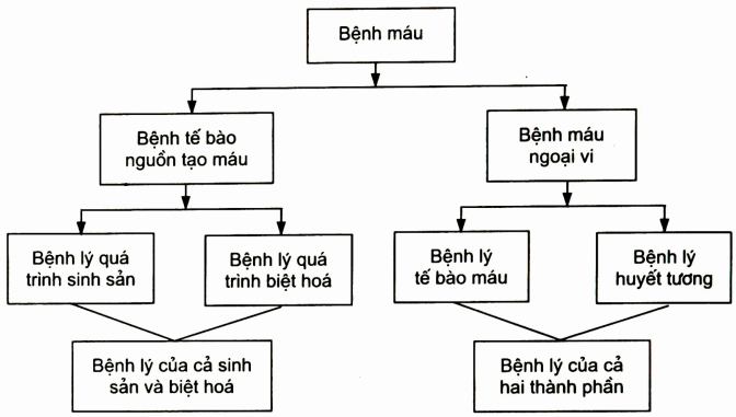 Phân loại đại cương về bệnh lý máu và cơ quan tạo máu