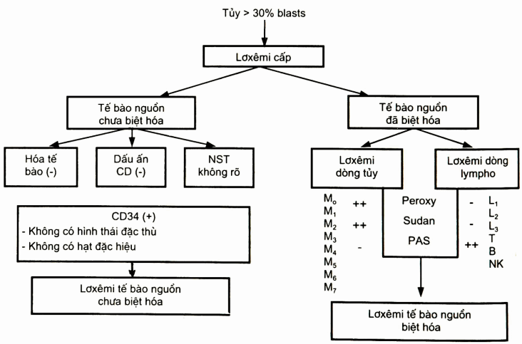 Phân loại Lơxêmi cấp