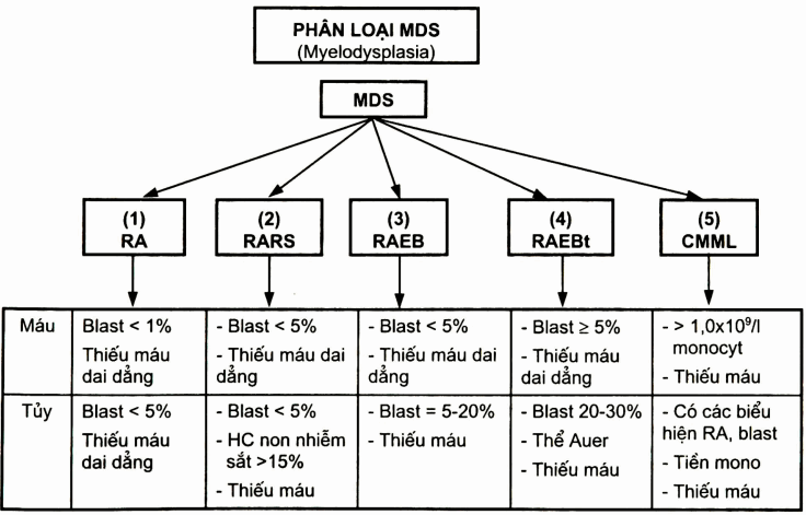 Phân loại MDS theo WHO (2000)