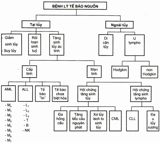 Phân loại bệnh tế bào nguồn tạo máu (theo vị trí tạo máu)