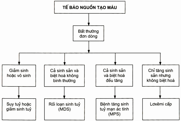 Sơ đổ giả thiết về các bất thường chủ yếu của quá trinh tăng sinh và biệt hoá đơn dòng tế bào nguồn tạo máu ở người