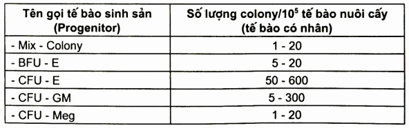 Số lượng các đơn vị tạo cụm khi nuôi cấy tế bào gốc CD34+