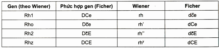 So sánh danh pháp Ficher - Race với danh pháp của VViener