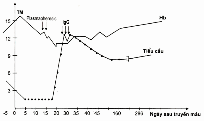 Xuất huyết giảm tiểu cầu cấp 6 ngày sau truyền máu, tác dụng của truyền γ-globulin typ IgG