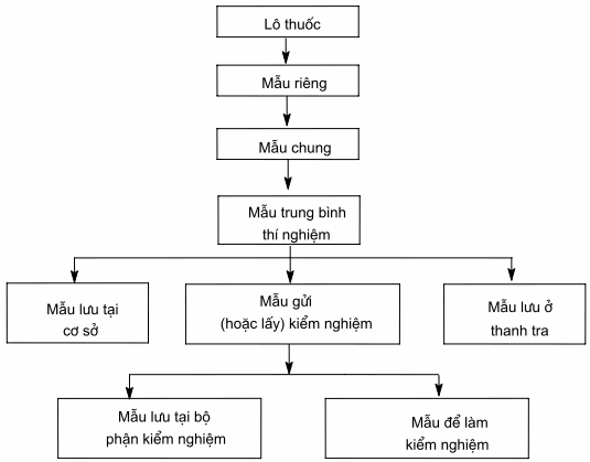 Sơ đồ qui trình lấy mẫu, lưu mẫu