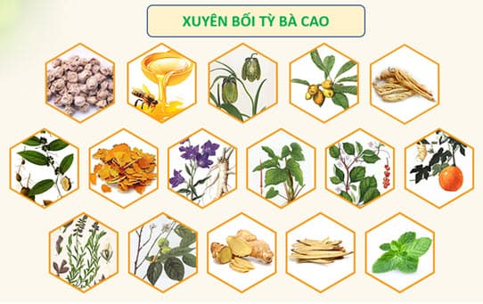 Thuốc ho bổ phế Bảo Thanh có nguồn gốc từ bài thuốc cổ phương 300 năm Xuyên bối tỳ bà cao