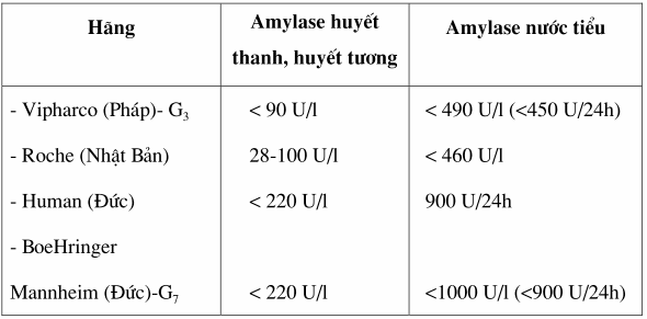 Amylase huyết thanh tăng cao trong viêm tụy cấp