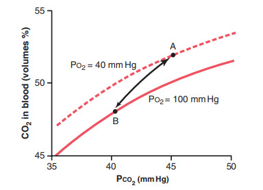 Các phần của đường cong phân ly carbon dioxide