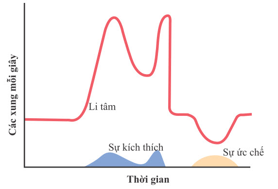 Đầu ra liên tục từ một mạch dội âm