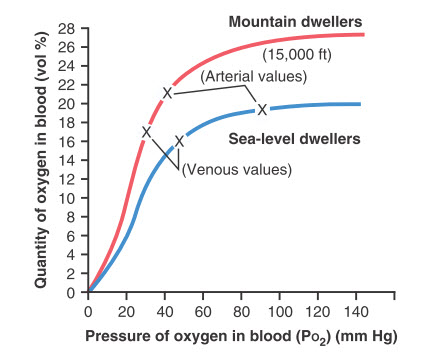 Đường cong phân ly oxy-hemoglobin đối với máu của cư dân sống ở độ cao