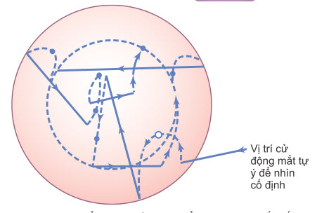 Các chuyển động của một điểm sáng trên hố mắt