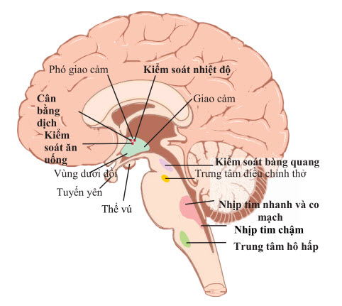 Các khu vực điều khiển