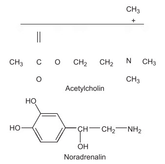 Acetylcholin và adrenalin