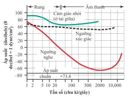 Mối liên hệ giữa ngưỡng nghe và ngưỡng nhận