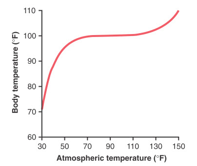 Ảnh hưởng của nhiệt độ khí quyển cao và thấp