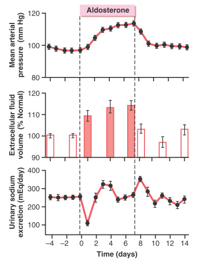 Ảnh hưởng của truyền aldosterone