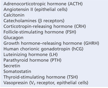 Các hormone sử dụng hệ thống tín hiệu thứ hai của Adenylyl