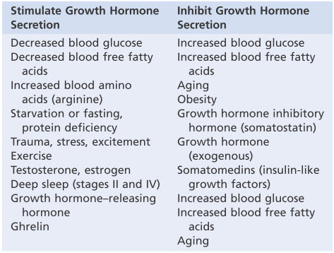 Các yếu tố kích thích hoặc ức chế tiết hormone tăng trưởng