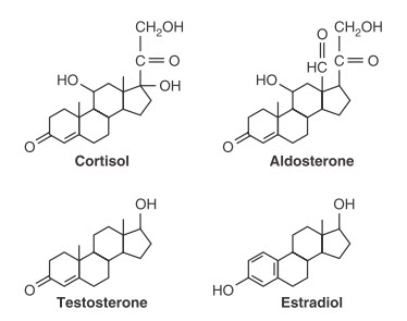 Cấu trúc hóa học của hormone steroid