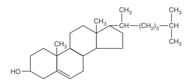 Cholesterol