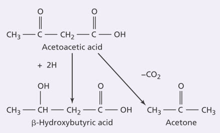 Chuyển đổi acetoacetic thành aceton