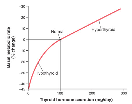 Mối liên hệ gần đúng giữa tốc độ tiết hormone tuyến giáp