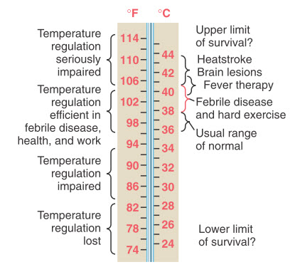Nhiệt độ cơ thể trong các điều kiện khác nhau