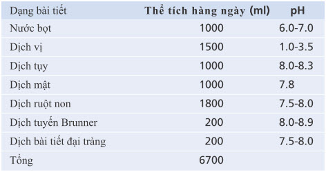 Sự bài tiết hàng ngày của dịch ruột