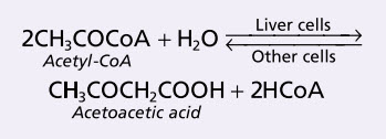 Sự tạo thành acid acetoacetic