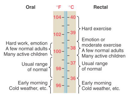 Ước tính nhiệt độ trung tâm của cơ thể bình thường