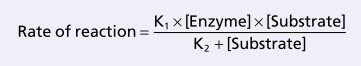 Xúc tác enzyme