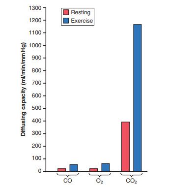 Khả năng khuếch tán carbon monoxide, oxy và carbon dioxide