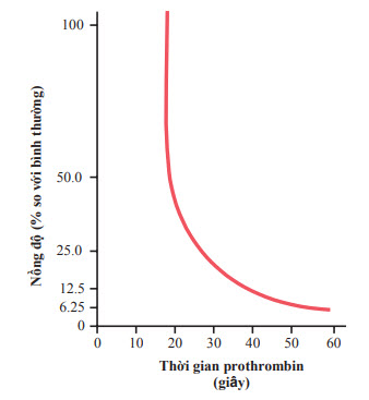 Liên hệ giữa nồng độ prothrombin và thời gian prothrombin