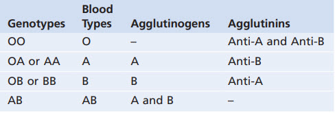 Các nhóm máu có kiểu gen và thành phần cấu tạo nên kháng nguyên và kháng thể của chúng