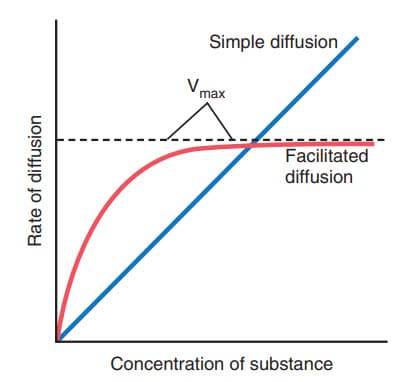 Ảnh hưởng của nồng độ của một chất đến tốc độ khuếch tán qua màng