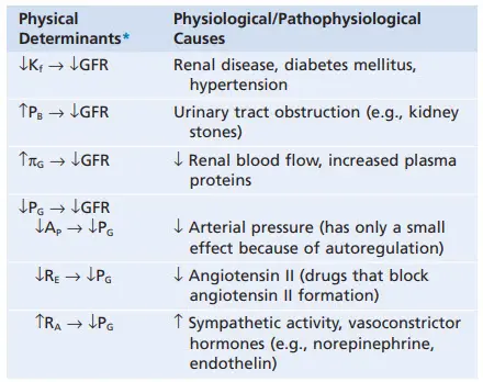 Các yếu tố có thể làm giảm mức lọc cầu thận
