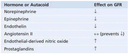 Hormone và chất hóa học ảnh hưởng đến mức lọc cầu thận