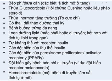 Một số nguyên nhân gây kháng insulin