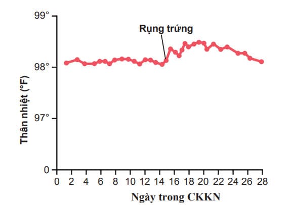 Sự tăng thân nhiệt trong thời gian ngắn sau rụng trứng