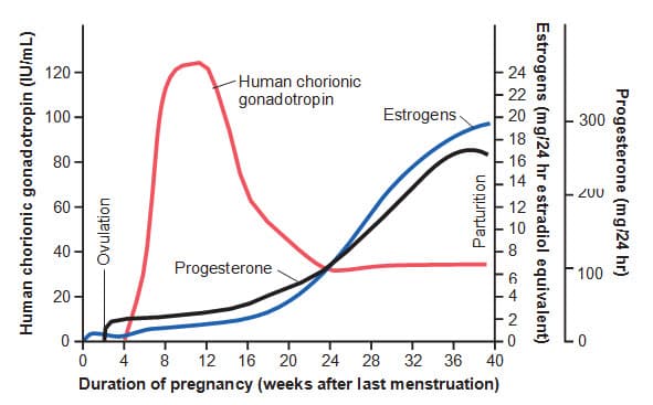Tỷ lệ bài tiết estrogen và progesterone