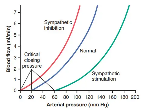 Ảnh hưởng của áp suất động mạch