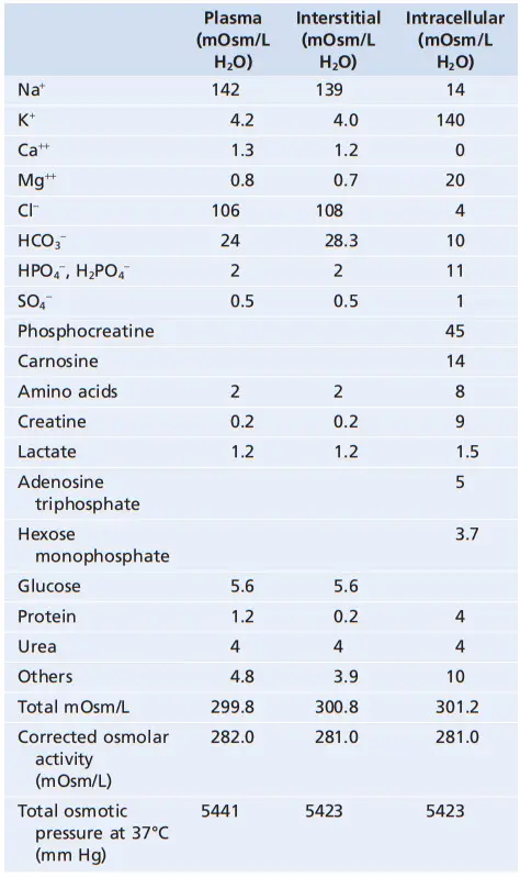 Các chất Osmolar trong chất lỏng ngoại bào và nội bào