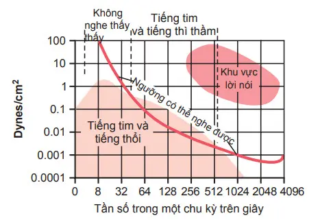 Độ lớn khác biệt tần số sự rung động trong tiếng tim