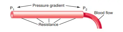 Mối quan hệ giữa áp suất, lực cản và lưu lượng máu