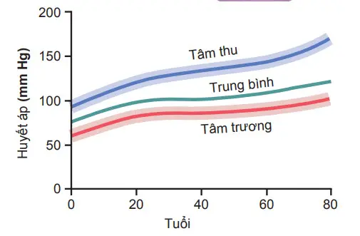 Sự thay đổi huyết áp tâm thu, tâm trương, trung bình theo tuổi